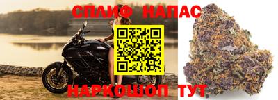 бошки Краснодар