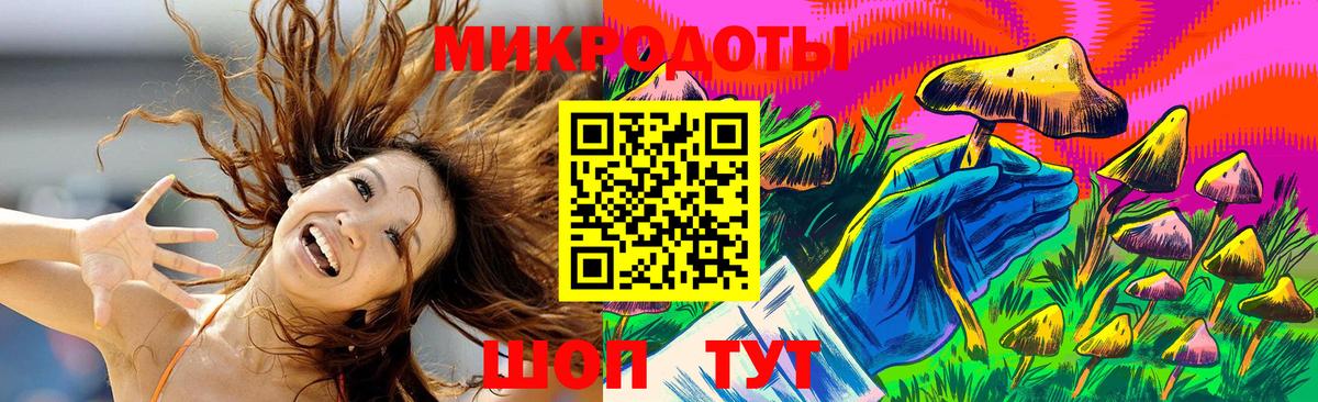 Галлюциногенные грибы MAGIC MUSHROOMS Кингисепп