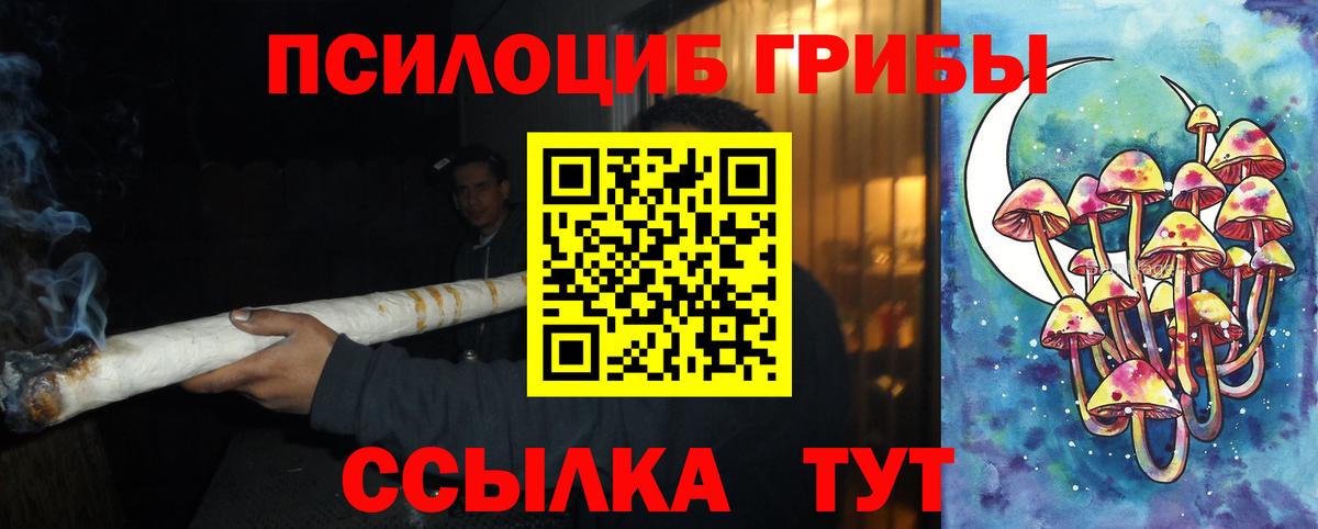 Галлюциногенные грибы мухоморы  Галлюциногенные грибы прущие грибы  Вход с VPN  Кингисепп 